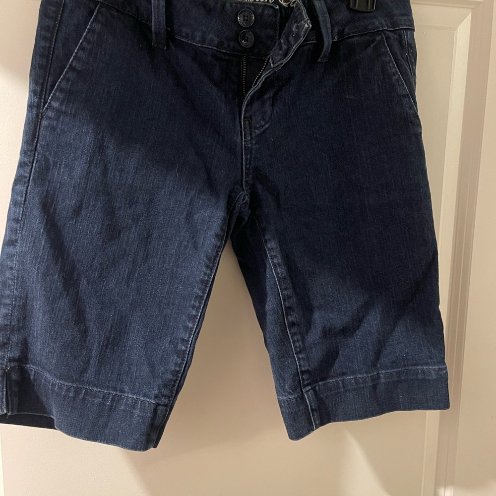 American Eagle Outfitters Dark Indigo Denim Shorts
